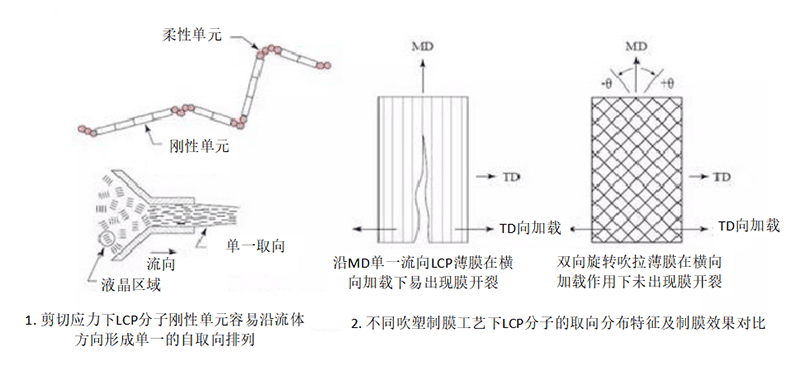 lcp分子流动特性及排列方向对薄膜成型工艺影响示意图